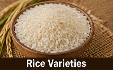Rice Varieties