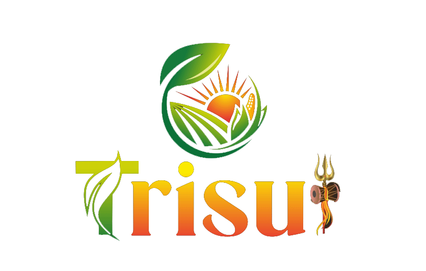 TRISUL IMPEX Logo